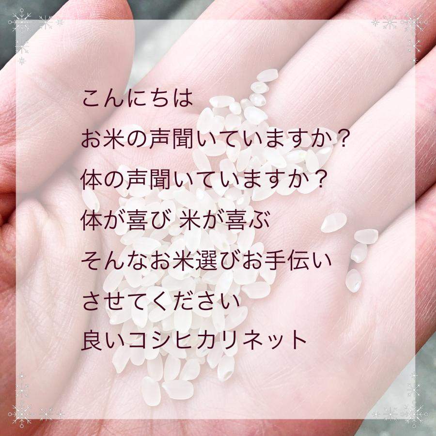 米 2kg 龍の瞳 鉄腕ダッシュ お米 いのちの壱 岐阜県産 令和5年産 ご贈答｜e-koshihikari｜08