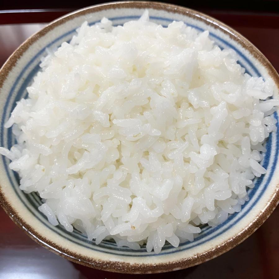 お米 元気つくし 福岡県産 令和７年産 10kg(5kg×2) 特A 減農薬 大粒 甘み強し お米マイスター推奨_4