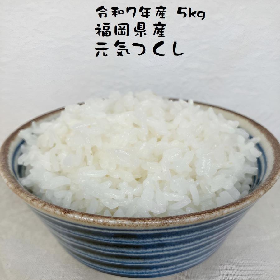 元気つくし お米 福岡県産 令和7年産 5kg 特A 減農薬 大粒 甘み強し