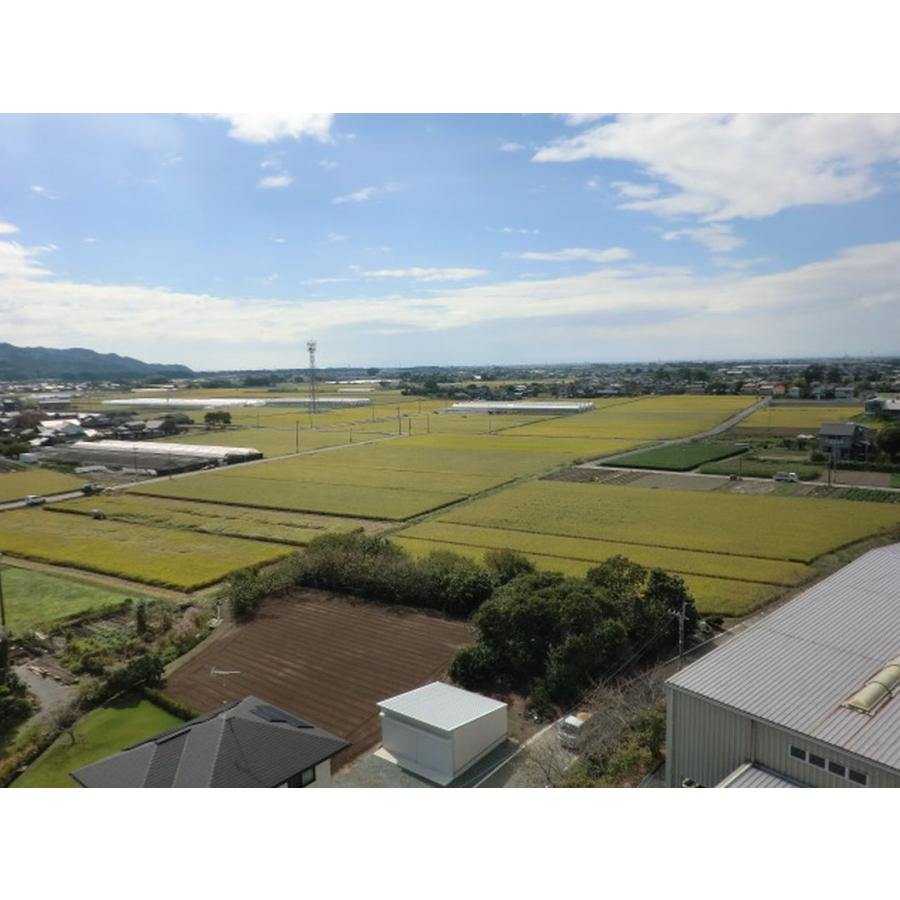 元気つくし お米 福岡県産 令和7年産 5kg 特A 減農薬 大粒 甘み強し