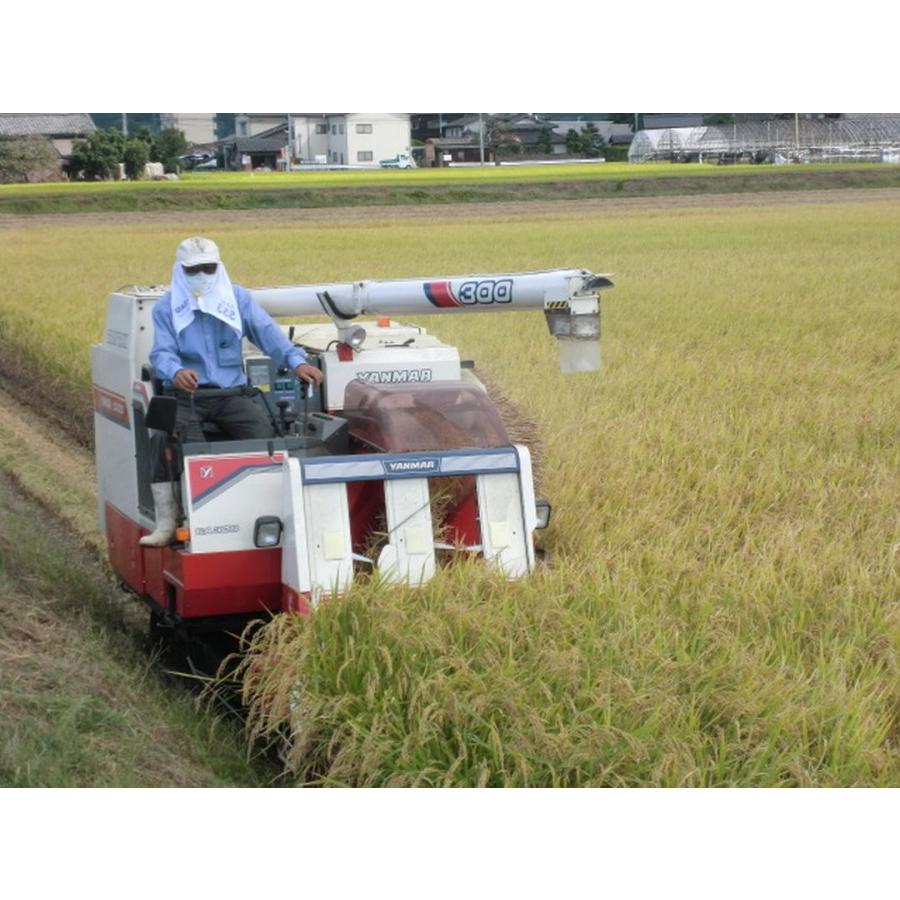 元気つくし お米 福岡県産 令和7年産 5kg 特A 減農薬 大粒 甘み強し