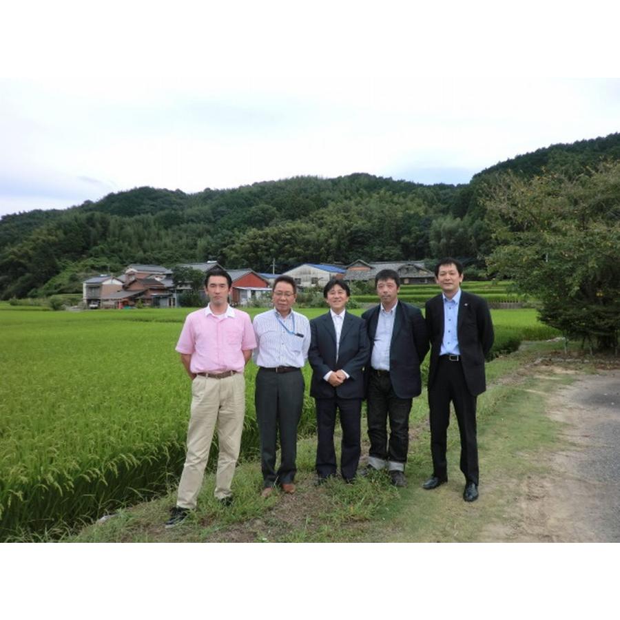 元気つくし お米 福岡県産 令和7年産 5kg 特A 減農薬 大粒 甘み強し