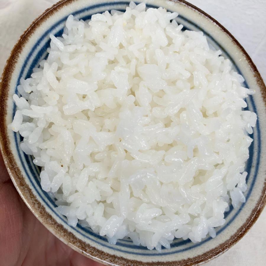 元気つくし お米 福岡県産 令和7年産 5kg 特A 減農薬 大粒 甘み強し