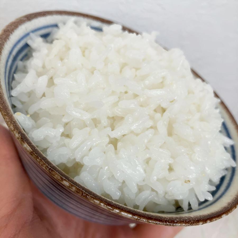 元気つくし お米 福岡県産 令和7年産 5kg 特A 減農薬 大粒 甘み強し