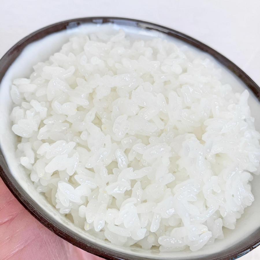 お米 はれわたり 青森県産 令和7年産 5kg 特A 甘み強めのあっさり お米