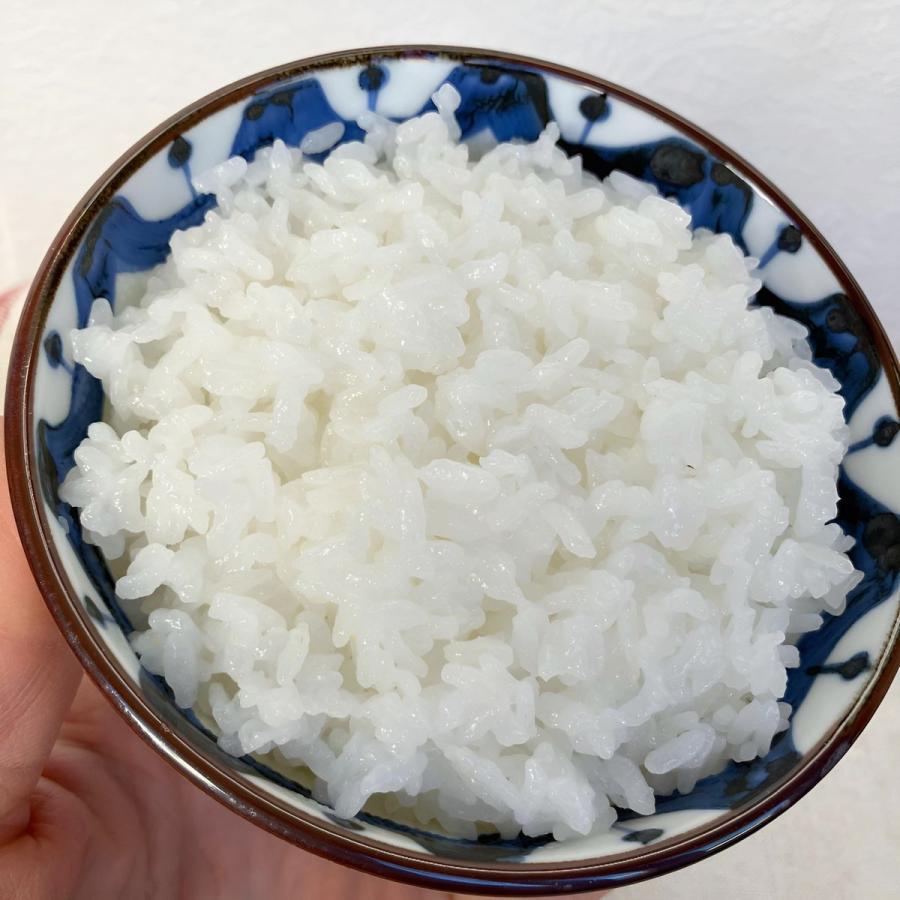 お米 いちほまれ 福井県産 令和7年産 10kg(5kg×2) 特A 減農薬