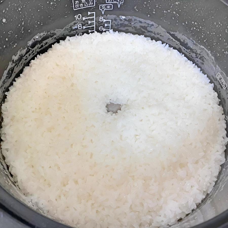 お米 ぴかまる 高知県産 令和7年産 10kg(5kg×2) 減農薬 低アミロース