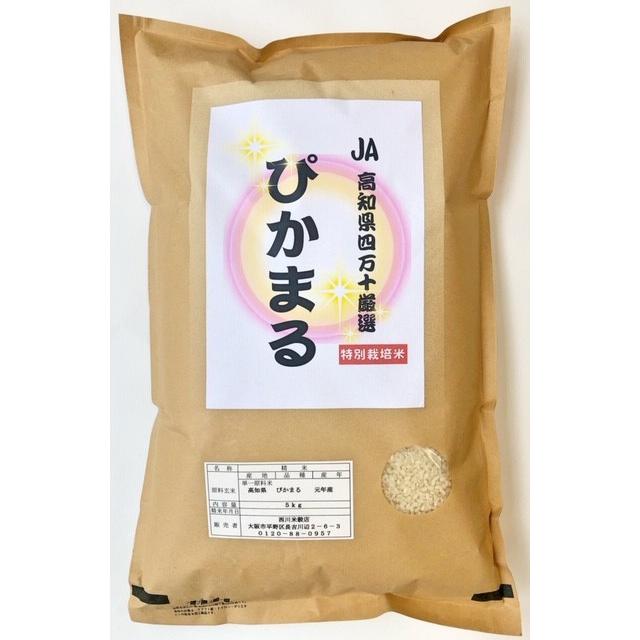 お米 ぴかまる 高知県産 令和7年産 10kg(5kg×2) 減農薬 低アミロース
