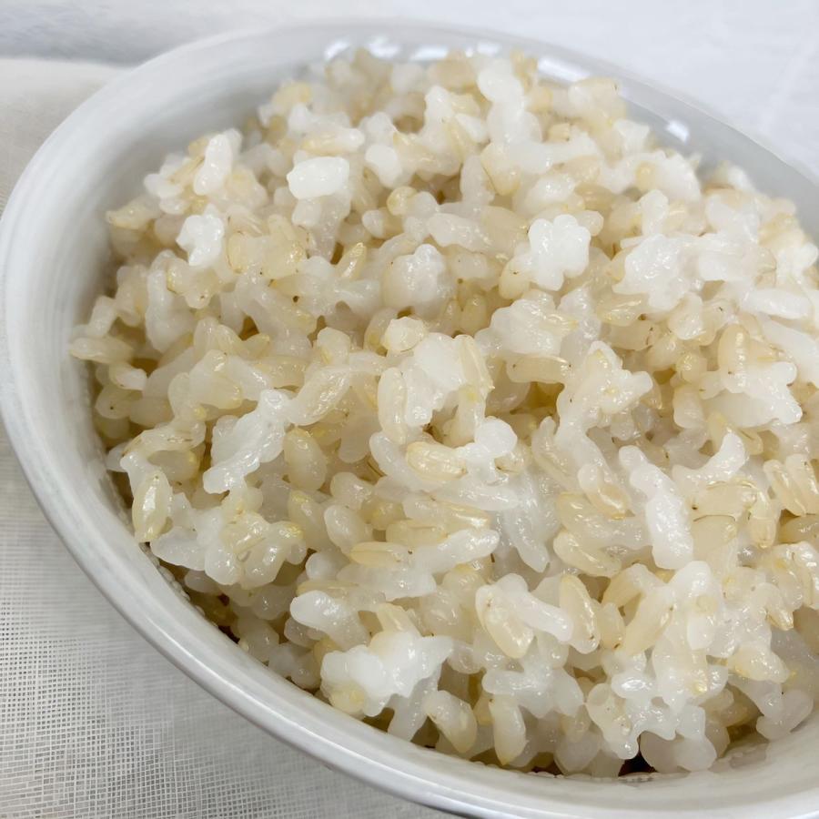 コシヒカリ 玄米 佐渡産コシヒカリ 新潟県産 令和7年産 10kg(5kg×2
