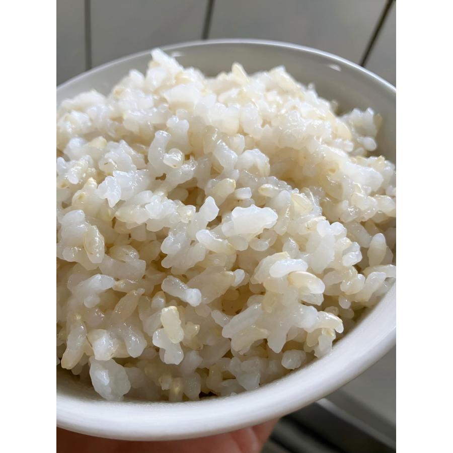 コシヒカリ 玄米 佐渡産コシヒカリ 新潟県産 令和7年産 10kg(5kg×2