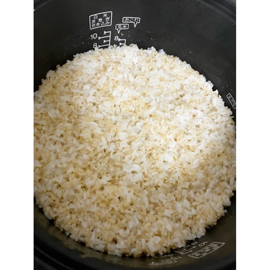 コシヒカリ 玄米 佐渡産コシヒカリ 新潟県産 令和7年産 10kg(5kg×2