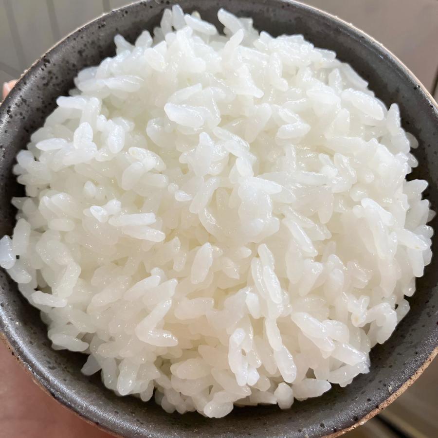 販売再開‼️ 送料込み 精米済み 白米 20kg 6年度産 佐賀県産米 さがびより お米 バーゲン 6/20〜6/30 佐賀県産 令和7年産 5kg 特A 粒