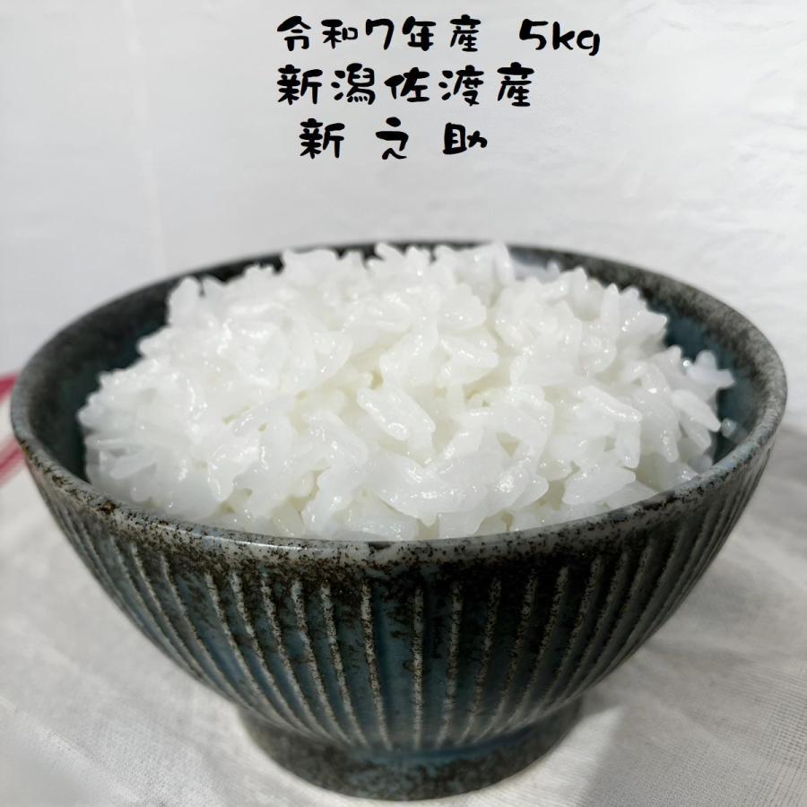 新之助（しんのすけ） お米 新潟県産 令和7年産 5kg 減農薬 重くない