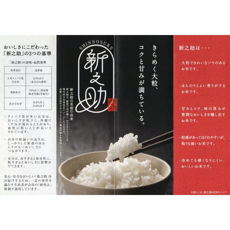新之助（しんのすけ） お米 新潟県産 令和7年産 5kg 減農薬 重くない