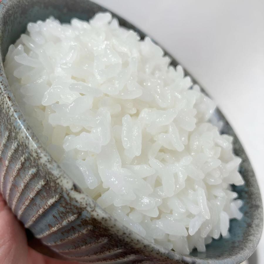 新之助（しんのすけ） お米 新潟県産 令和7年産 5kg 減農薬 重くない