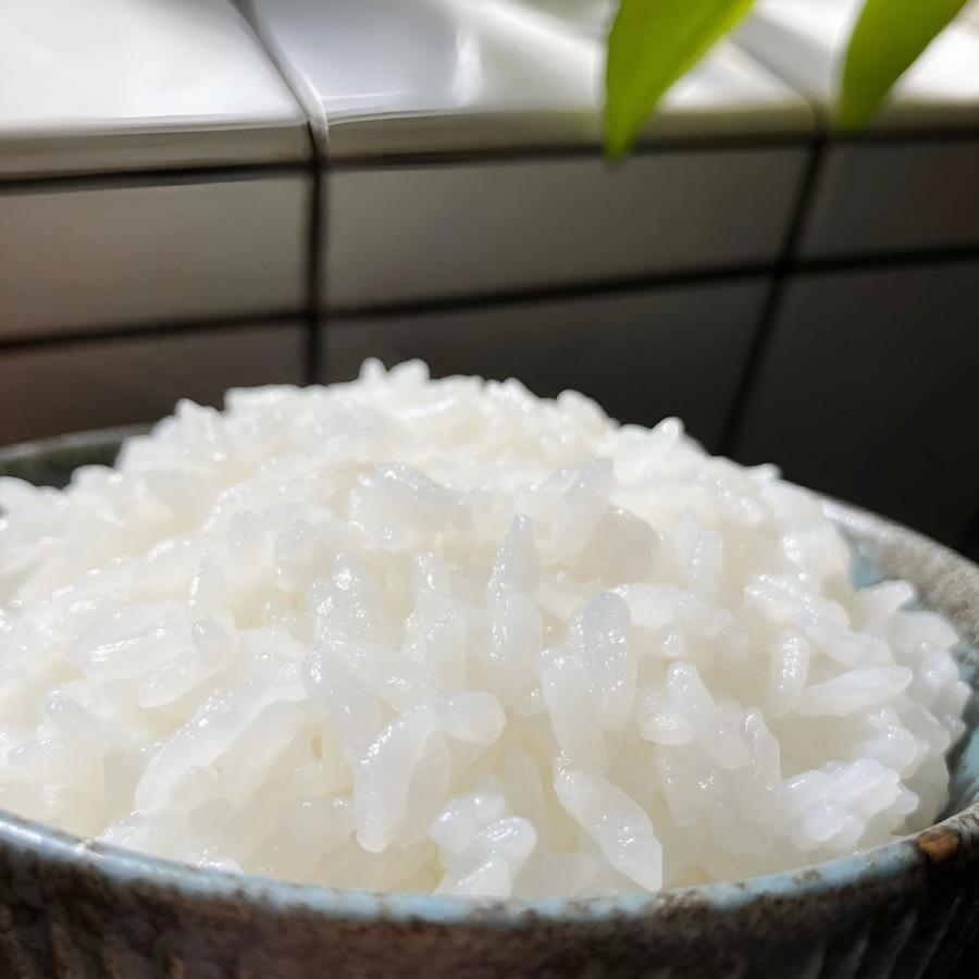 新之助（しんのすけ） お米 新潟県産 令和7年産 5kg 減農薬 重くない