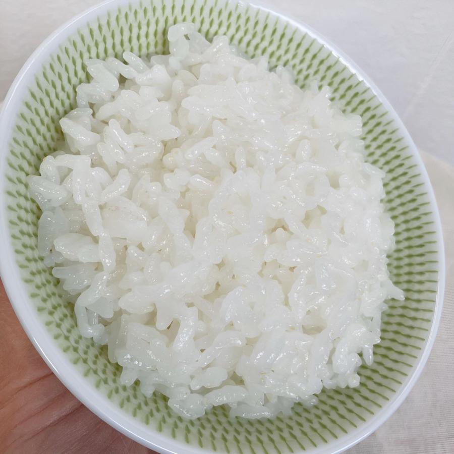 お米 天のつぶ 福島県産 令和7年産 10kg(5kg×2) 普段使いのごはん お
