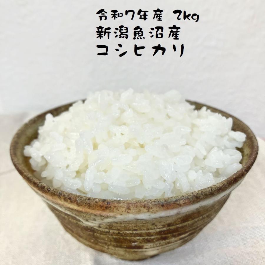 コシヒカリ 米 2kg 新潟県産 魚沼産コシヒカリ 特A 減農薬 令和7年産 