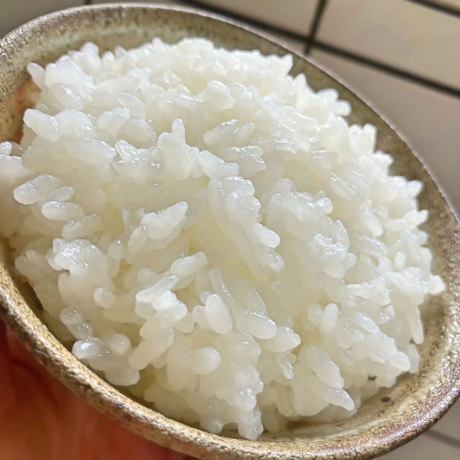 コシヒカリ 米 2kg 新潟県産 魚沼産コシヒカリ 特A 減農薬 令和7年産