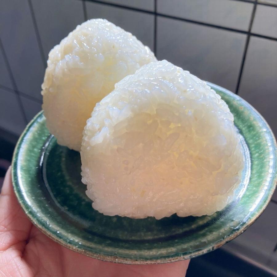 お米 雪若丸 山形県産 令和7年産 10kg(5kg×2) 減農薬 特A ネオニコ