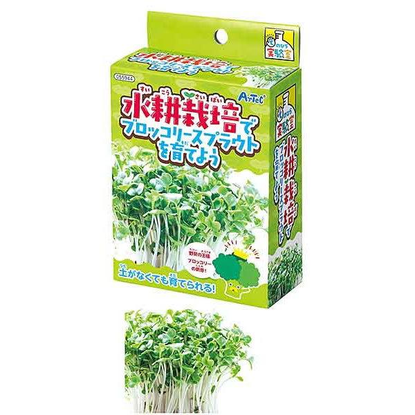 簡単・手のひら実験キット　水耕栽培でブロッコリースプラウトを育てよう　5個｜e-kousaku