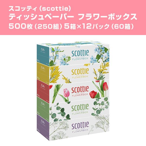 スコッティ ティッシュペーパー フラワーボックス 250組 5箱×12パック(60箱) ティッシュ ボックスティッシュ 箱ティッシュ ティシュペーパー まとめ買い｜e-kurashi｜04