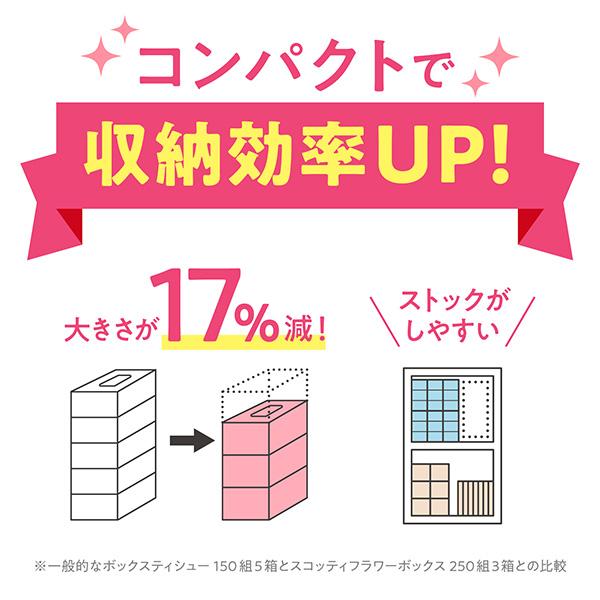 スコッティ ティッシュペーパー フラワーボックス 250組 5箱×12パック(60箱) ティッシュ ボックスティッシュ 箱ティッシュ ティシュペーパー まとめ買い｜e-kurashi｜09