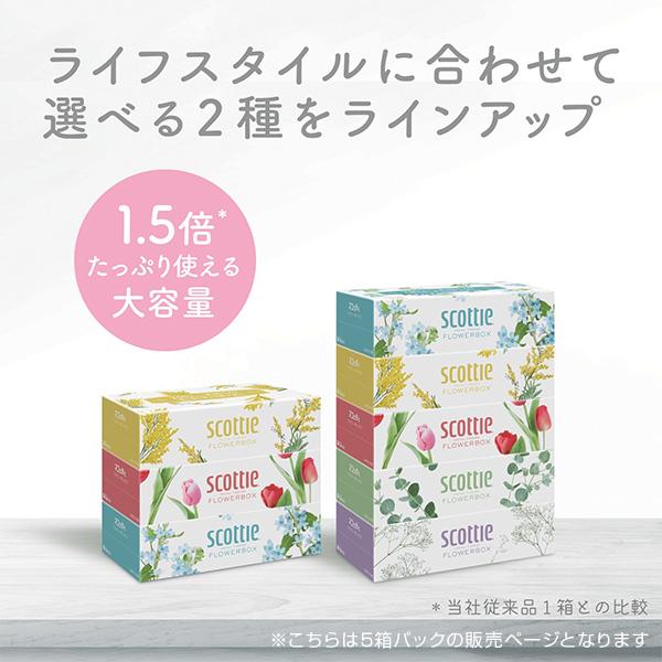 日本製紙クレシア スコッティ ティッシュペーパー フラワー 日本製紙クレシア スコッティ ティッシュペーパー フラワー