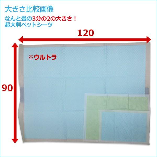 ペットシーツ 超でかっ!! サラ・シート 厚型 BIG!! 超大判 120×90cm 2枚入り×12セット(24枚) PUW-607 第一衛材 ピーワン P.one