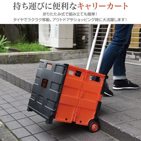 山善（YAMAZEN） ショッピングカート 折りたたみ 42Lタイプ WOC-42