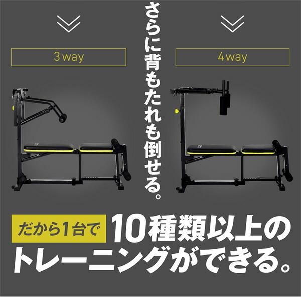 ALINCO（アルインコ） マルチワークアウトジム トレーニングマシン