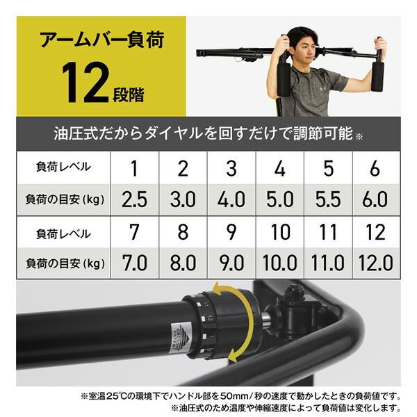 ALINCO マルチワークアウトジム トレーニングマシン 全身運動 ALINCO マルチワークアウトジム トレーニングマシン 全身運動
