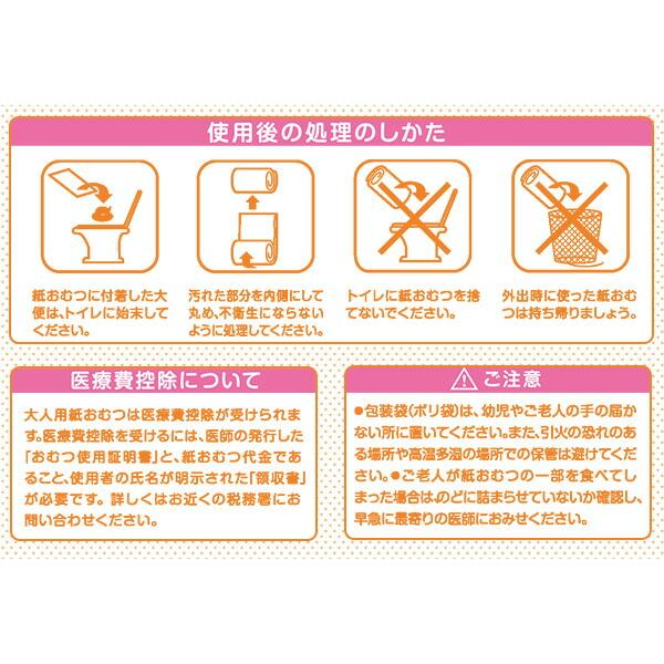 フリーネ Pro ズレない パンツ用パッド 昼用 日本製36枚×6パック(216枚