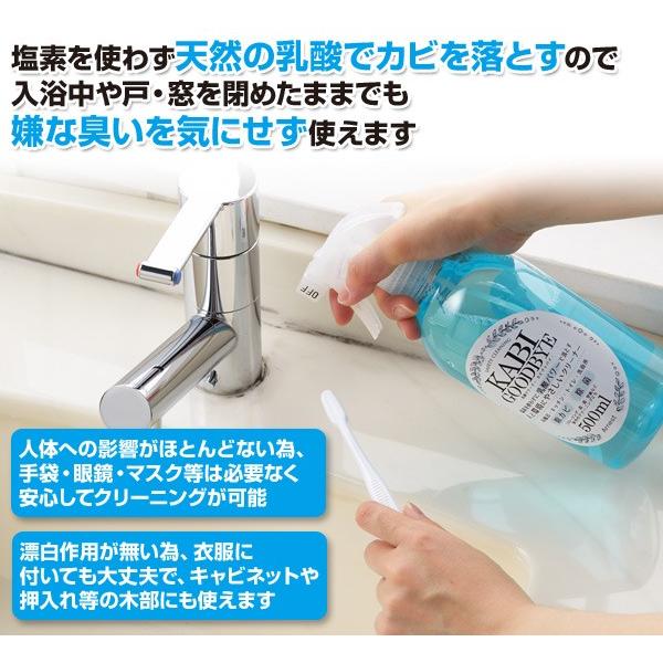 アーネスト（Arnest） 日本製 乳酸クリーナー カビグッバイ (500ml×2本