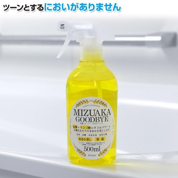 アーネスト（Arnest） 日本製 乳酸クリーナー 水あかグッバイ (500ml×2