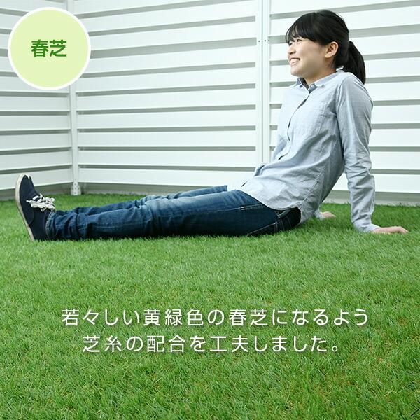 山善（YAMAZEN） 人工芝 防草シート付き 1m×2m U字固定ピン6本入り