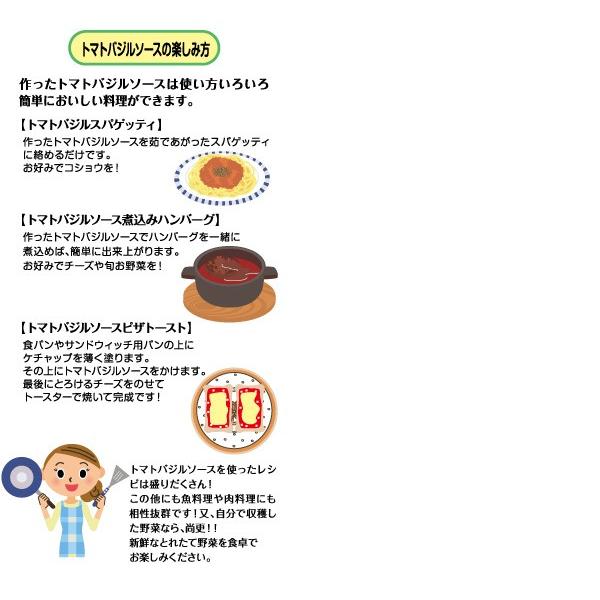 ベジタブルトートバッグ Vtb 17 培養土 土 肥料入り 野菜 キット セット 農業 野菜作り ガーデニング 用土 家庭菜園 初心者 くらしのeショップ 通販 Yahoo ショッピング