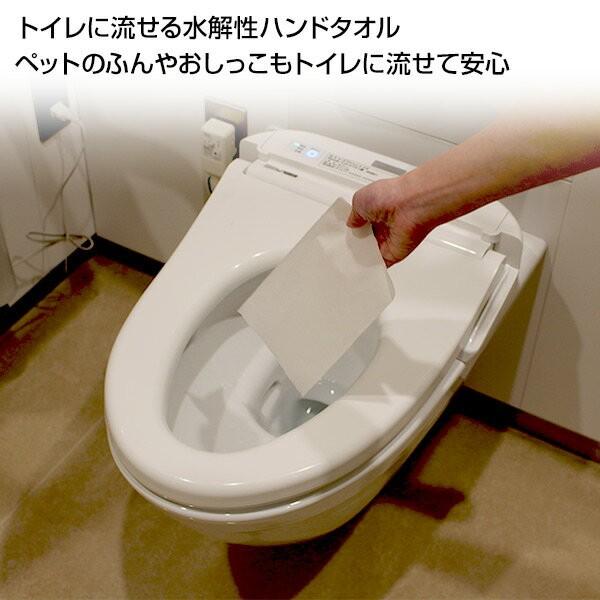 日本製紙クレシア クリネックス 水解性ハンドタオル 水に流せる200枚