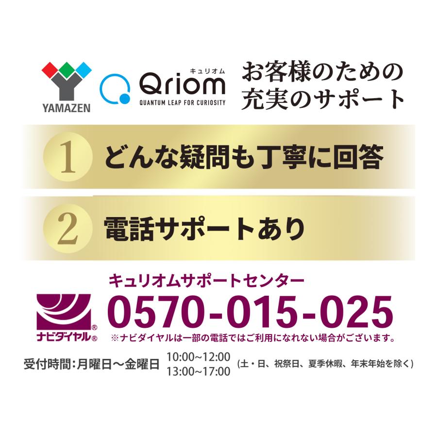 山善（YAMAZEN） ポータブルDVDプレーヤー 地デジ対応 9インチ 防水