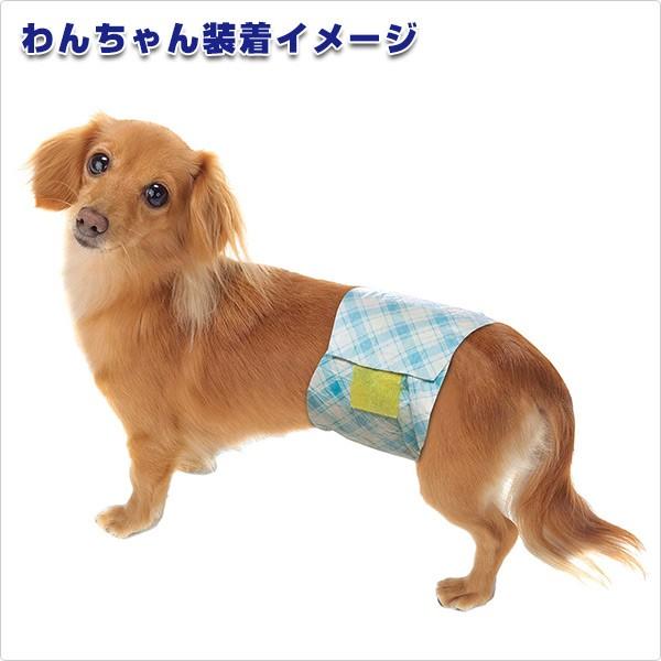 ペット用紙オムツ　男の子のためのマナーおむつ　38枚×6パック Amazon | 男の子のためのマナーおむつ ビッグパック 小~中型犬用