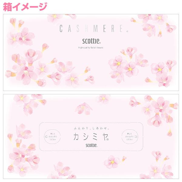 スコッティ カシミヤ ティッシュペーパー さくら 日本製 440枚 2組 キャラクター 風邪 ティッシュボックス ティシュー 10箱 新品 送料無料 かわいい
