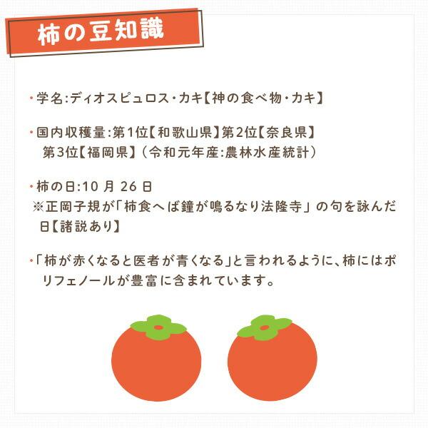 サプリメント 柿ダノミ 60粒入り (約1か月分) 柿だのみ サプリ 柿