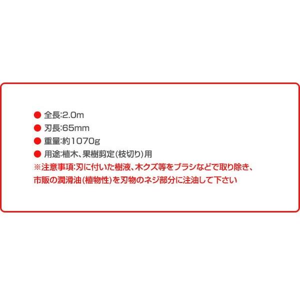 高枝切りばさみ ロング剪定鋏 2.0m N-100-2.0 高枝切りばさみ 高枝切りバサミ 高枝切鋏 切断工具|くらしのeショップ|02