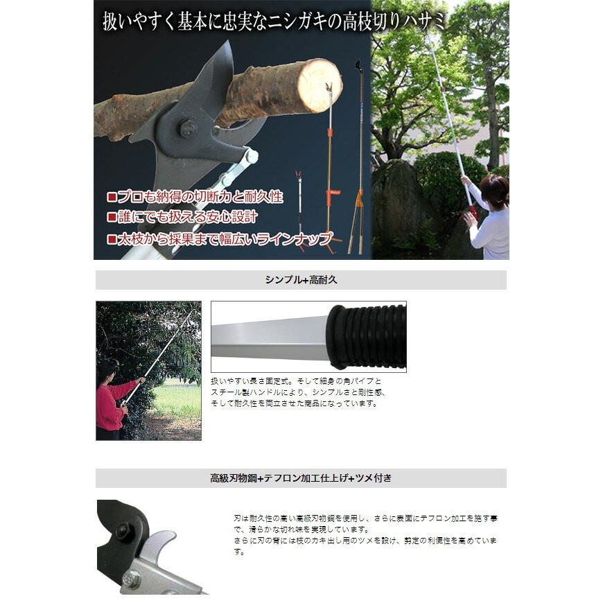 高枝切りばさみ ロング剪定鋏 2.0m N-100-2.0 高枝切りばさみ 高枝切りバサミ 高枝切鋏 切断工具|くらしのeショップ|03