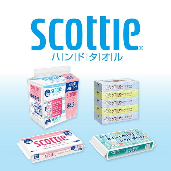 スコッティ（scottie） キレイの仕上げ ハンドタオル 200枚(100組)×60 