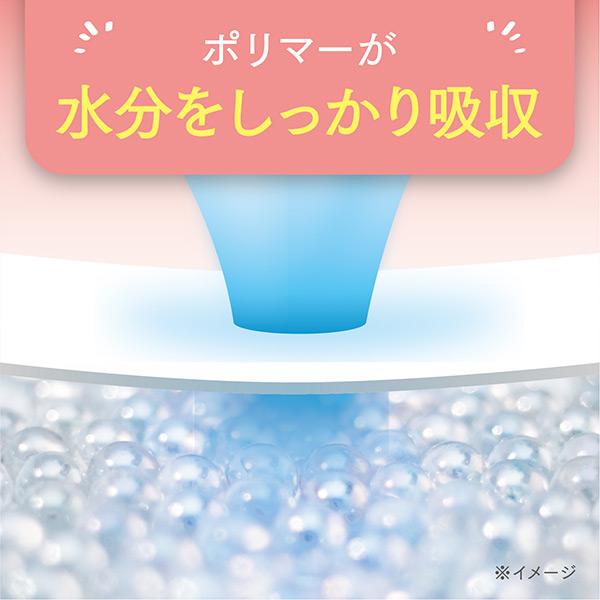 日本製紙クレシア ポイズ さらさら吸水 吸水ナプキン 70cc 無香料 日本