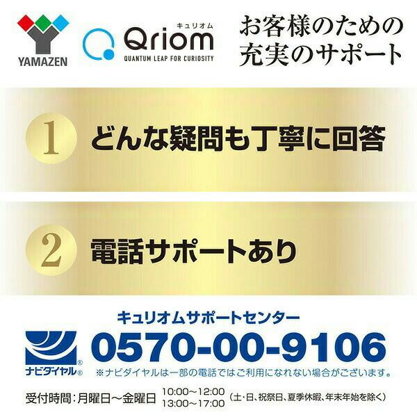 山善（YAMAZEN） ポータブルDVDプレーヤー 10.1インチ ヘッドレスト