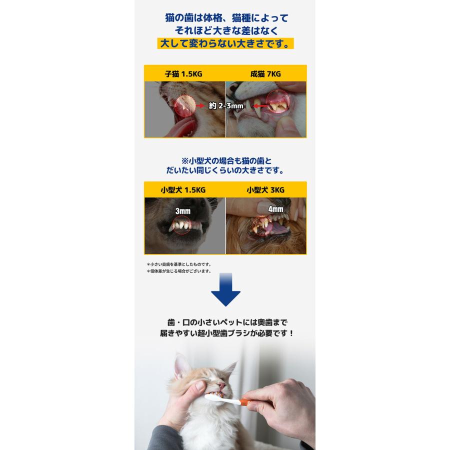 デンタルクリーン歯ブラシ ペット用歯ブラシ 超極細毛 (犬・猫兼用) 歯ぶらし 歯みがき 歯磨き 口臭ケア 歯石ケア ペスルーム Pethroom｜e-kurashi｜11