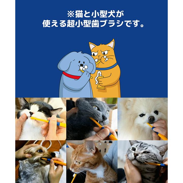 デンタルクリーン歯ブラシ ペット用歯ブラシ 超極細毛 (犬・猫兼用) 歯ぶらし 歯みがき 歯磨き 口臭ケア 歯石ケア ペスルーム Pethroom｜e-kurashi｜05