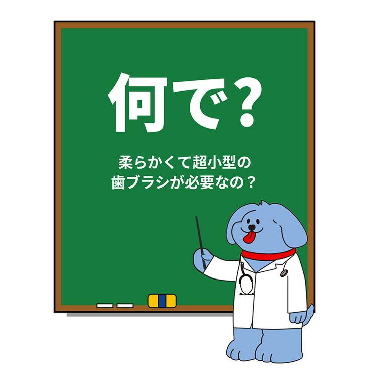 デンタルクリーン歯ブラシ ペット用歯ブラシ 超極細毛 (犬・猫兼用) 歯ぶらし 歯みがき 歯磨き 口臭ケア 歯石ケア ペスルーム Pethroom｜e-kurashi｜10